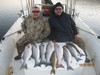 (12/31/2016) - Nice Striped Bass